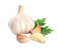 Garlic decoration